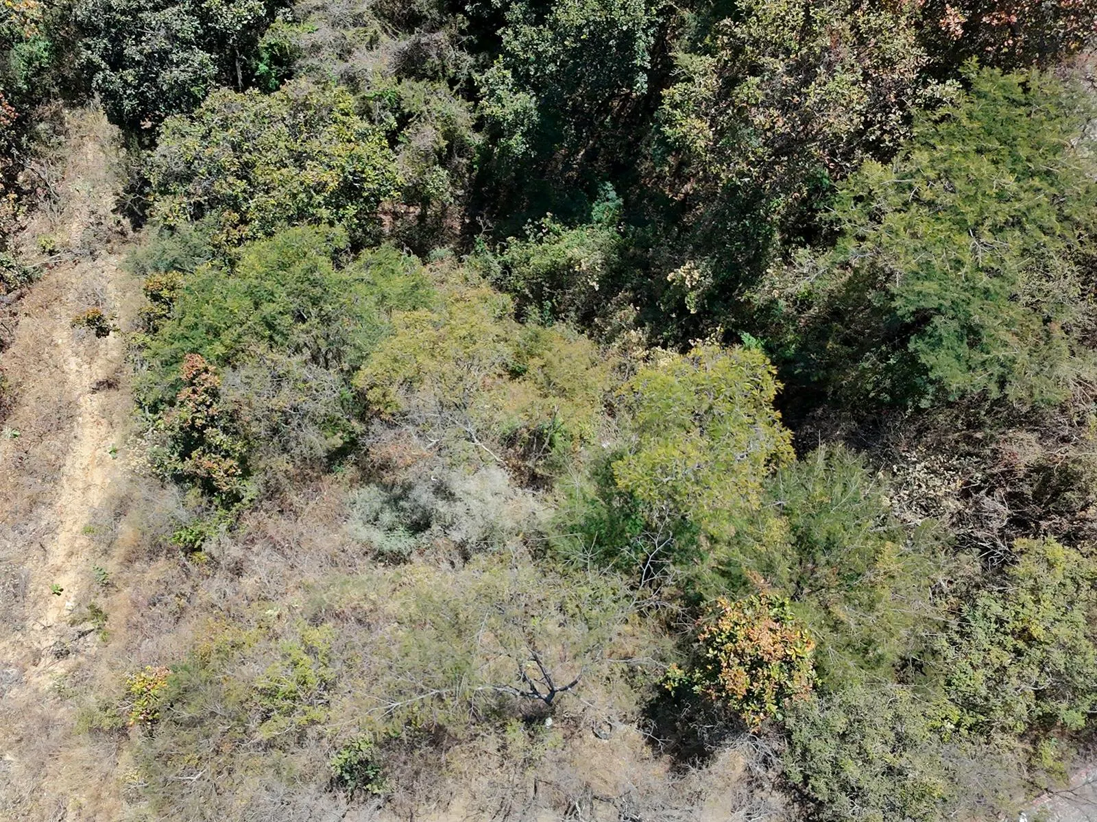 Terreno Spot2