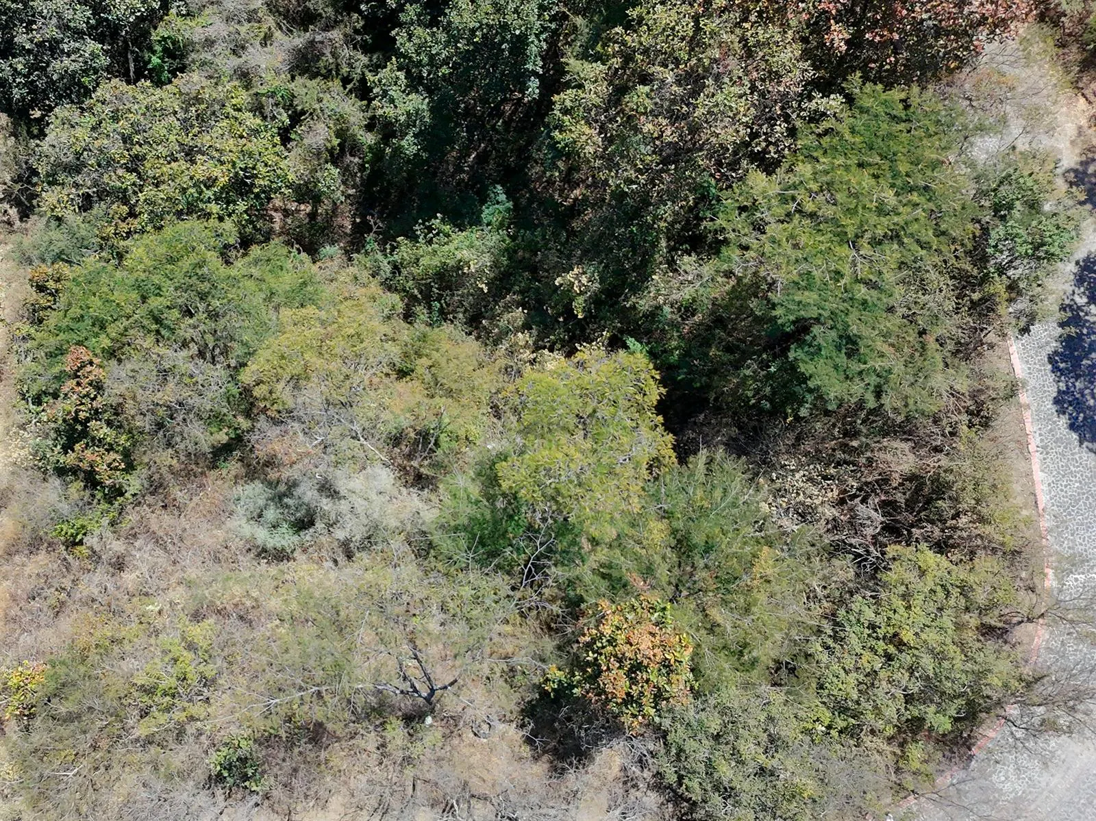 Terreno Spot2