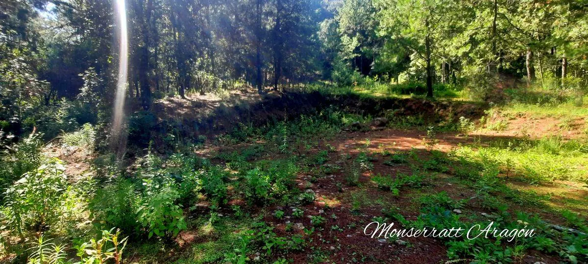 Terreno Spot2
