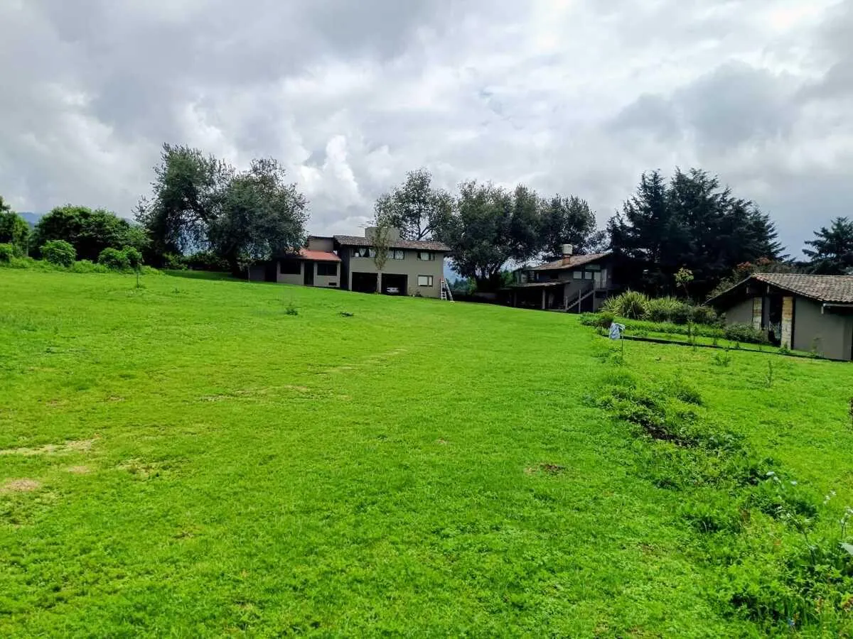 Terreno Spot2