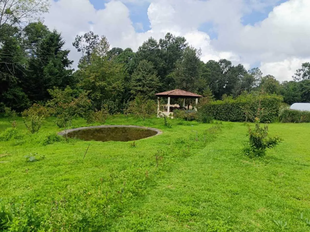 Terreno Spot2