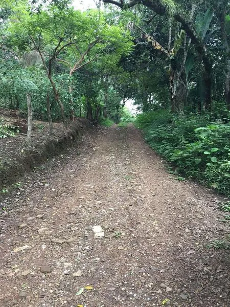 Terreno Spot2