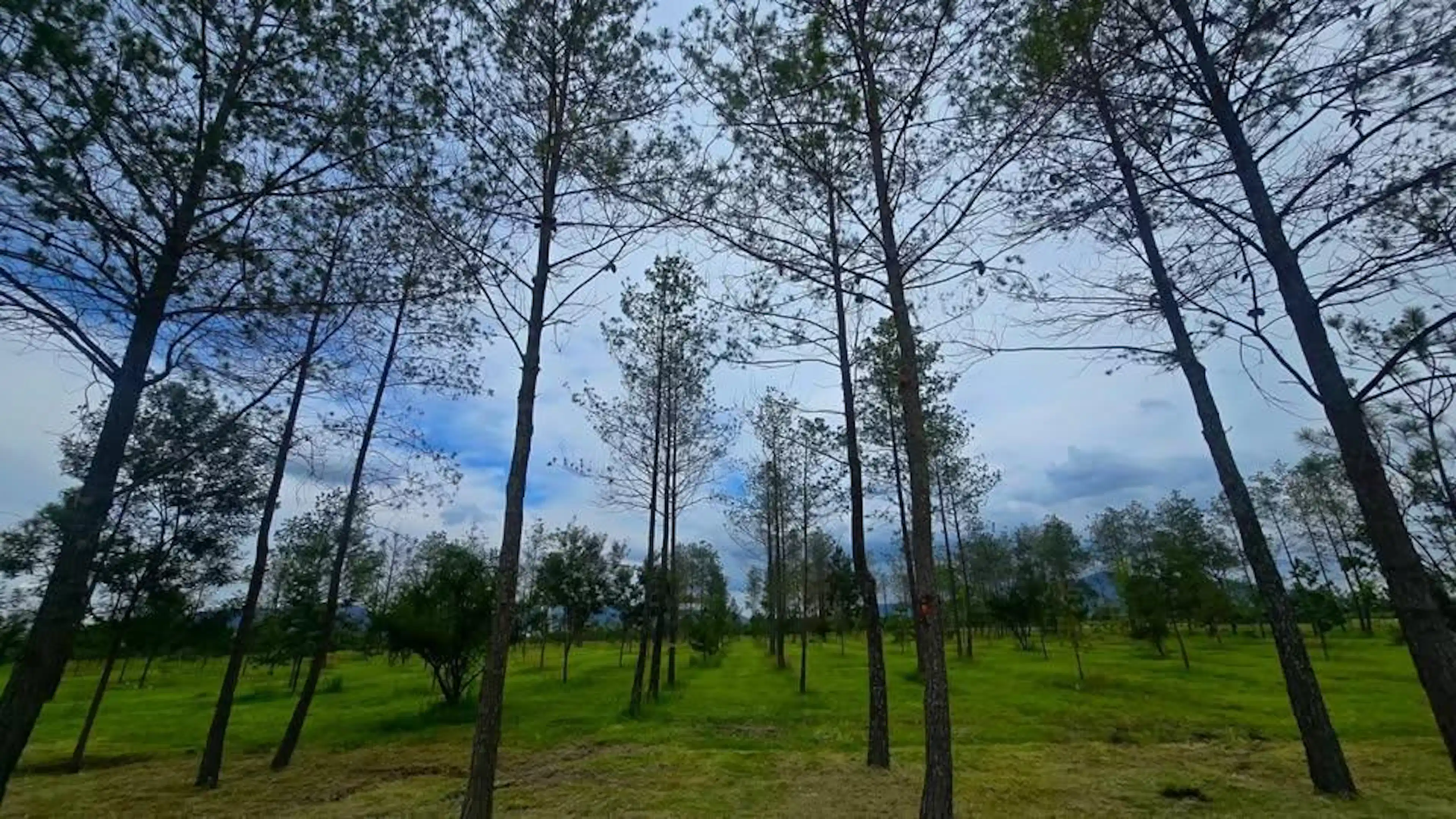 Terreno EN CORREGIDORA