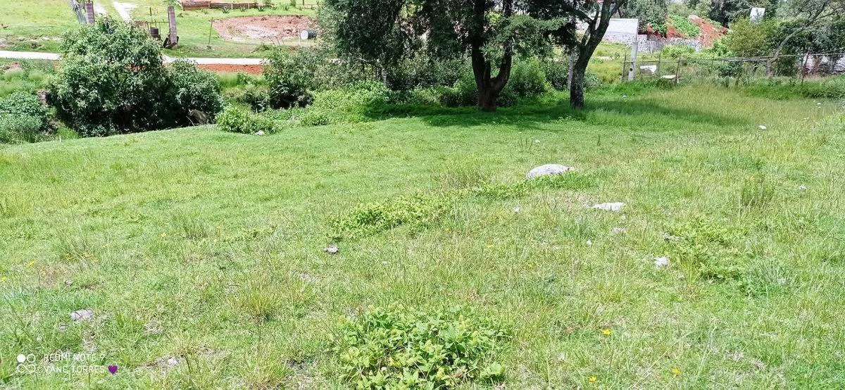 Terreno Spot2