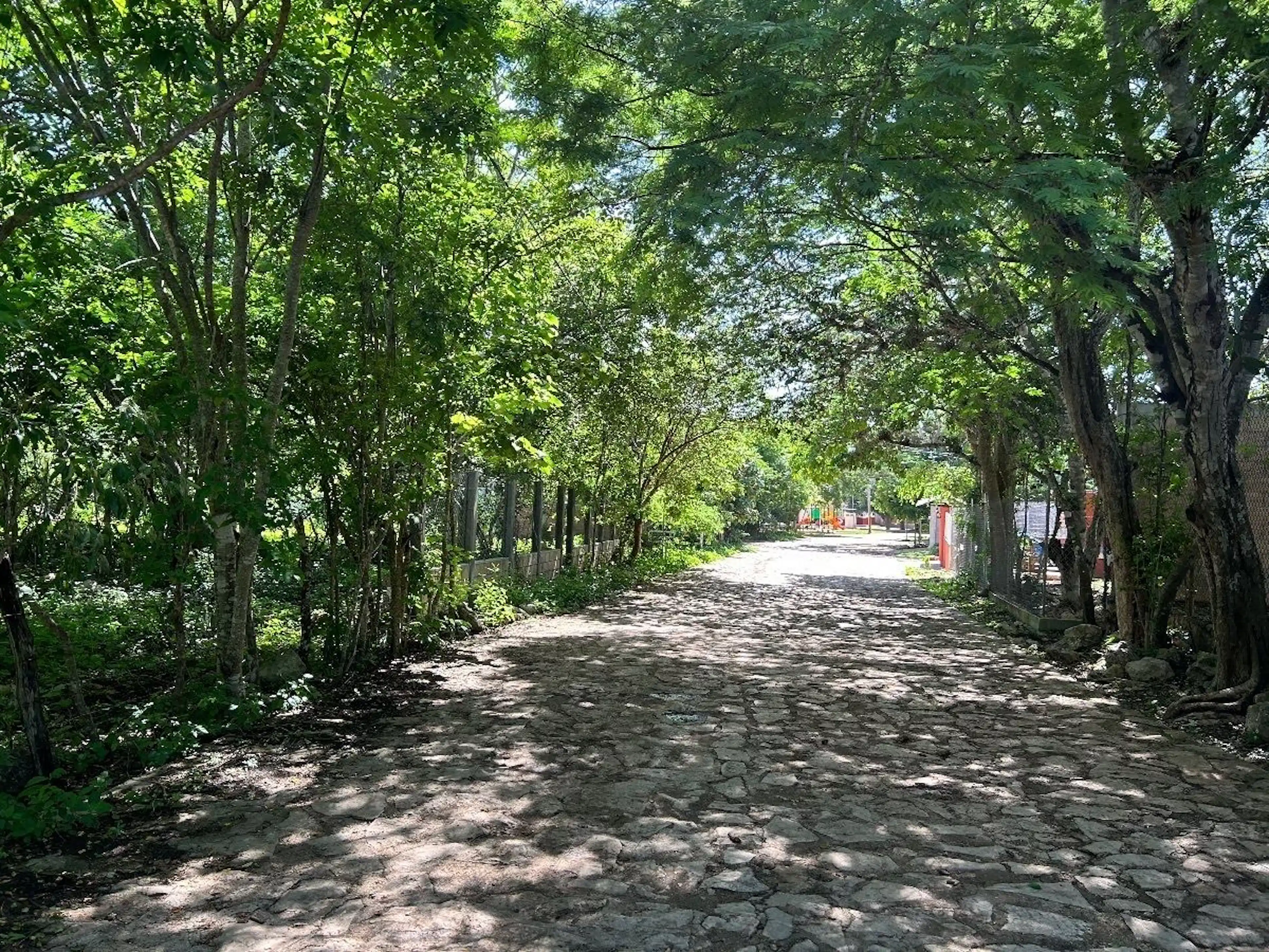 En Venta Hermosa Propiedad En San Antonio Bombano En Berriozábal, Chiapas..