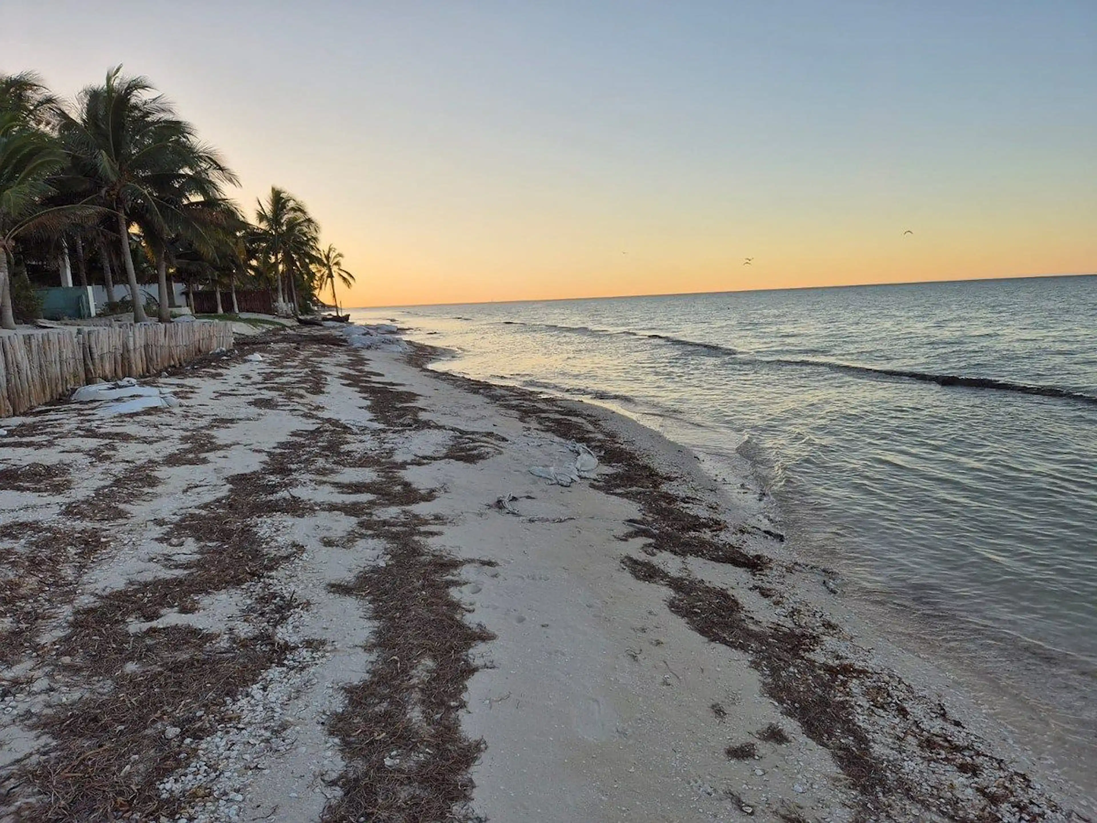 Terreno En Venta En San Benito, Dzemul, Yucatán, Frente A Playa