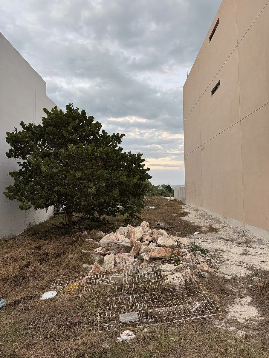 Terreno Spot2