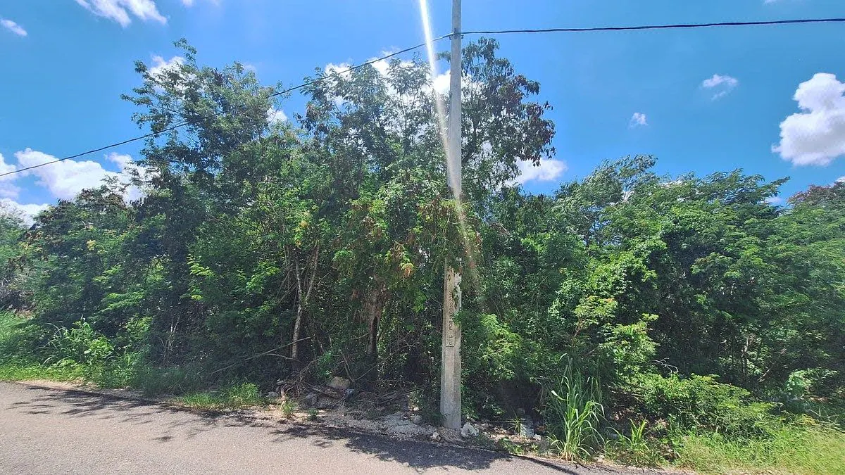 Terreno Spot2