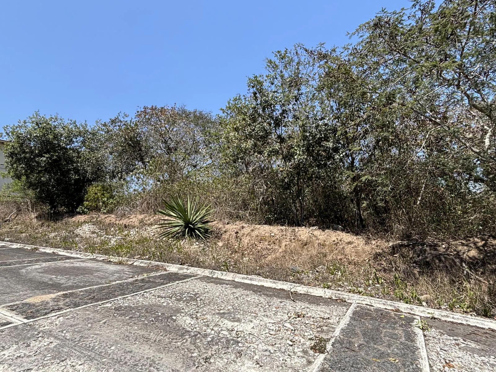Terreno Spot2