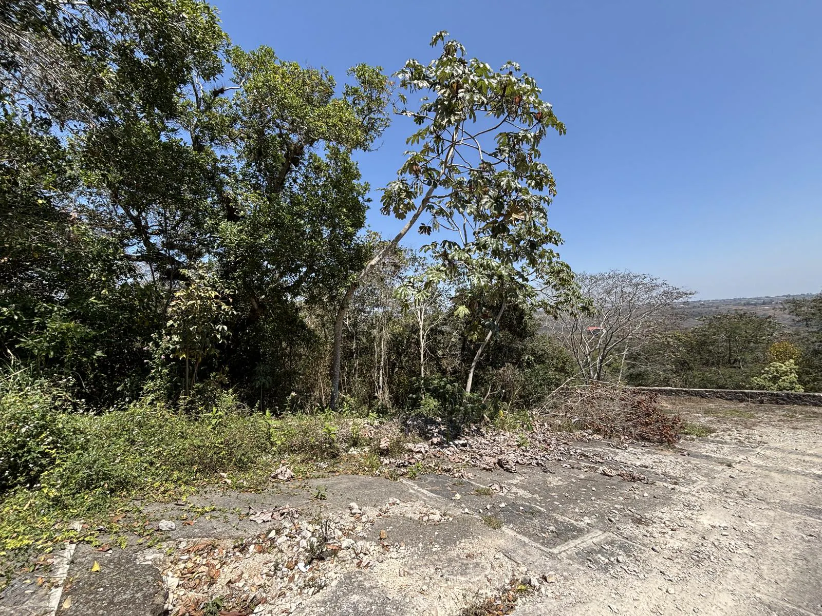 Terreno Spot2