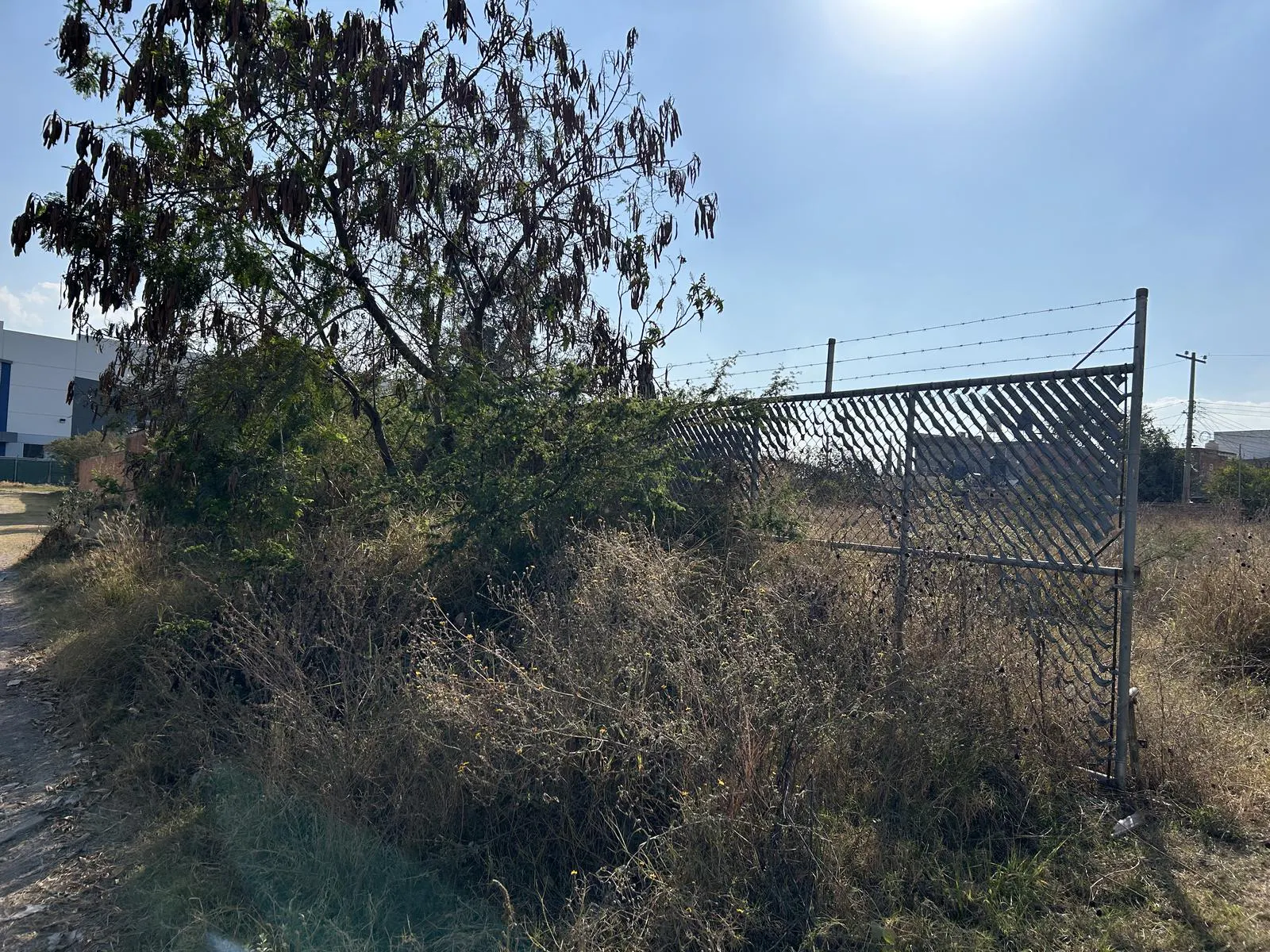 Terreno Spot2