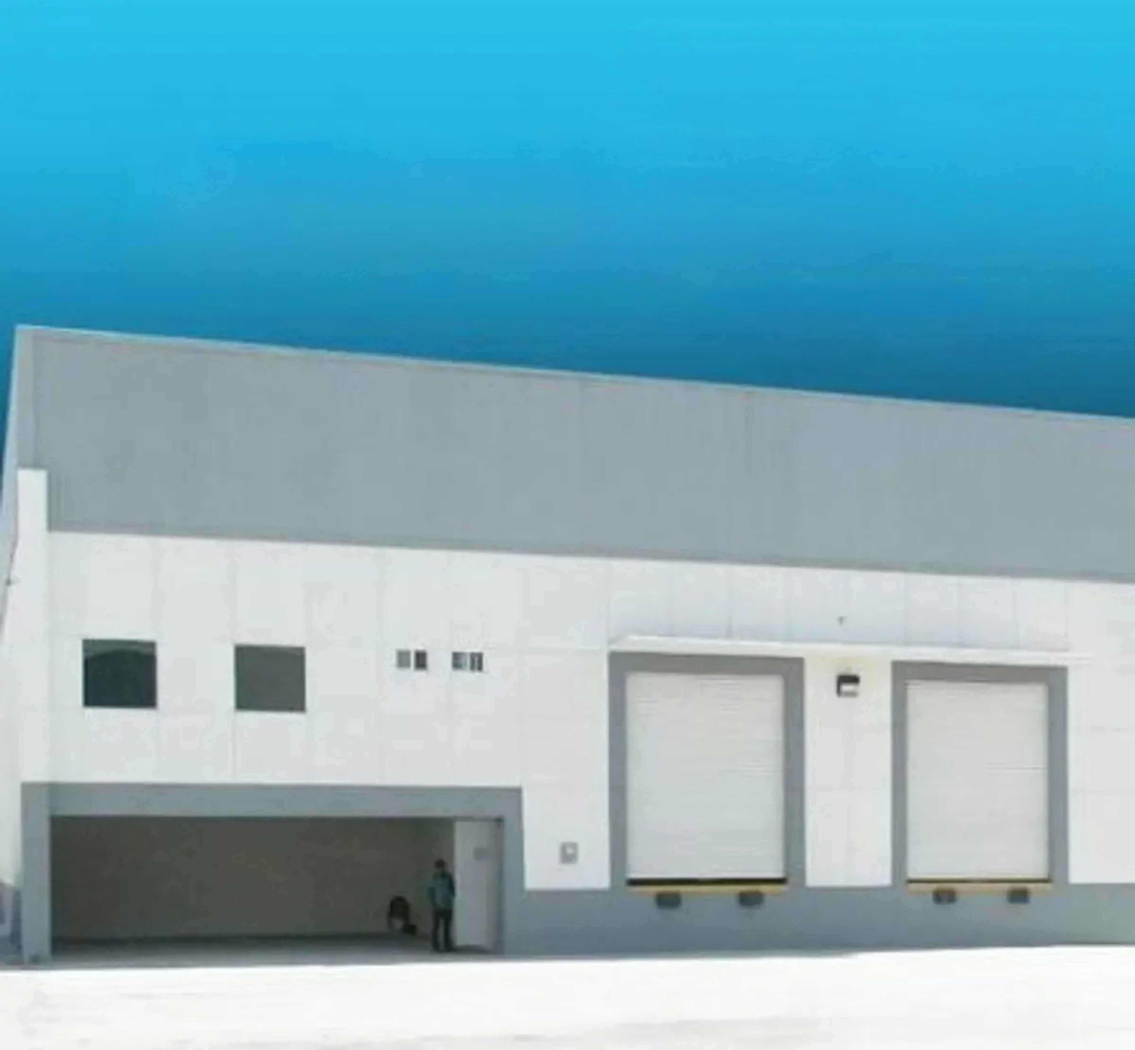 Lateral Carlos Salinas De Gortari