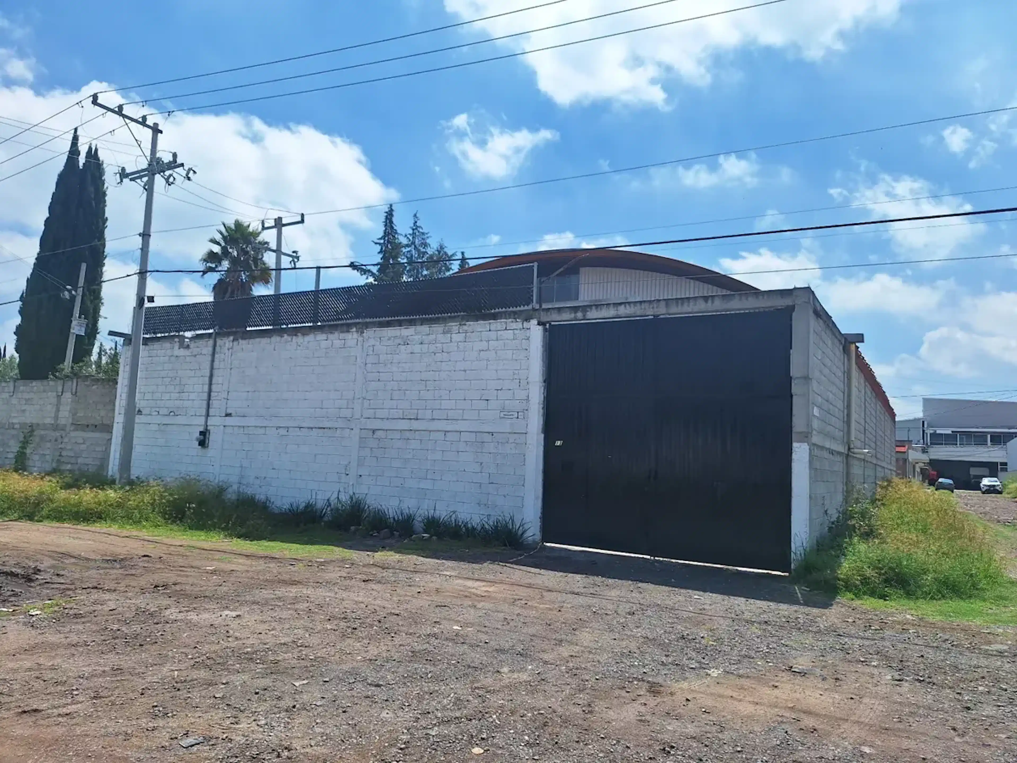 Calle Eucalito 1
