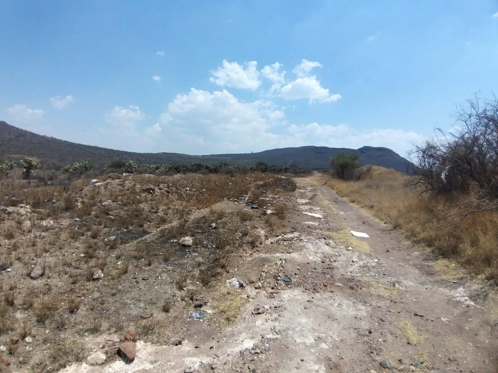 Terreno Spot2