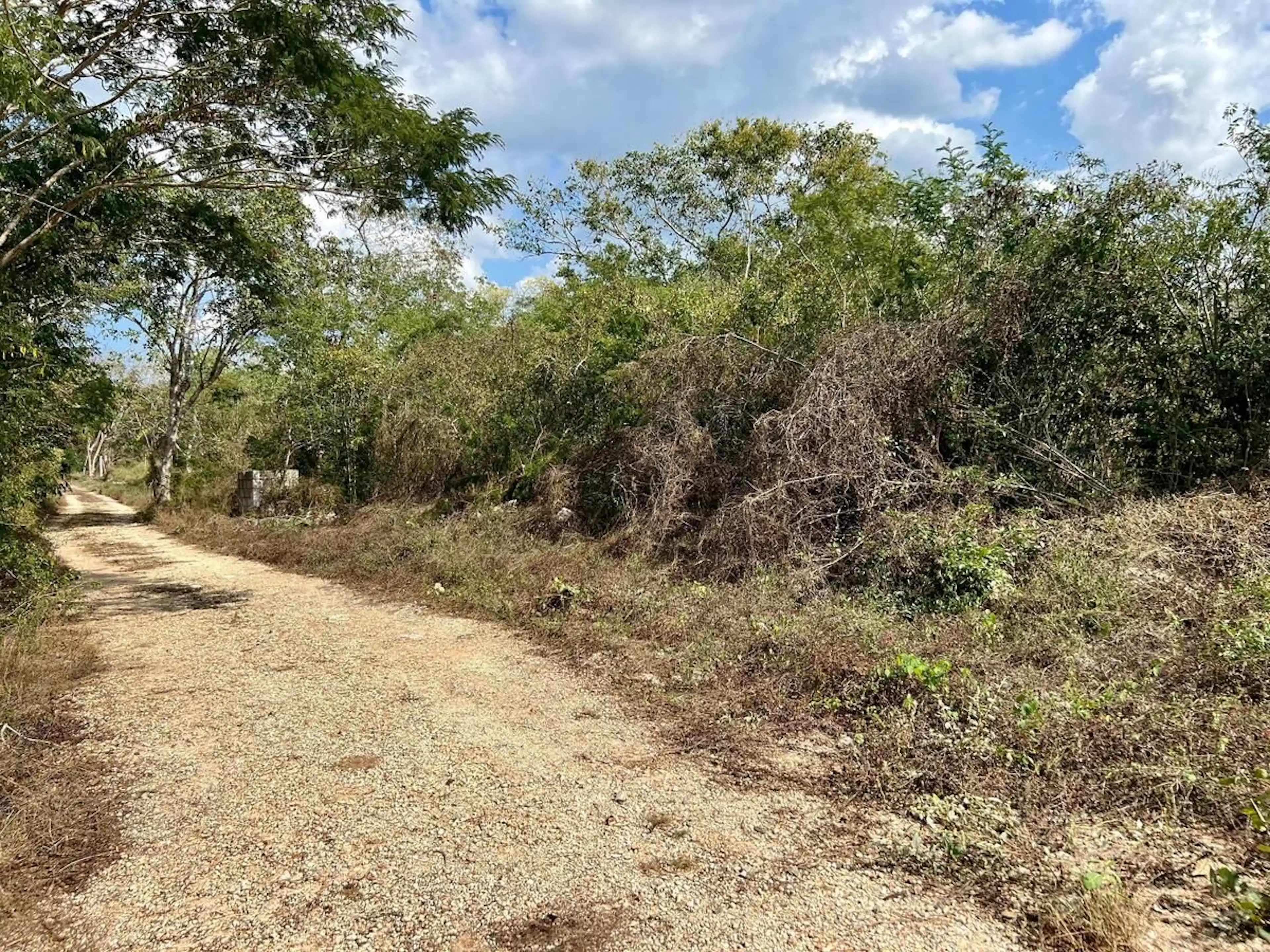 Venta De Terreno En Xcunya