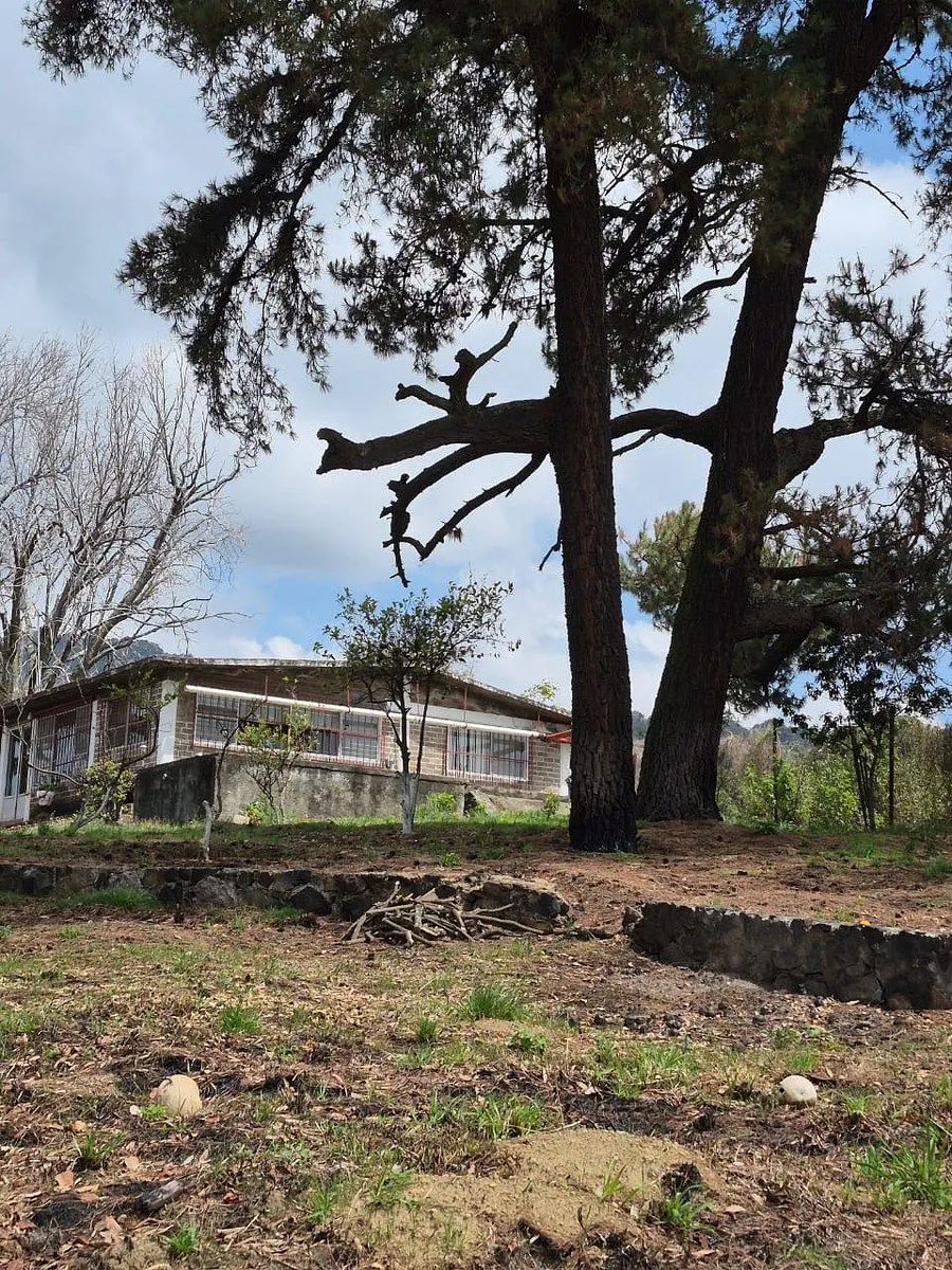 Terreno Spot2