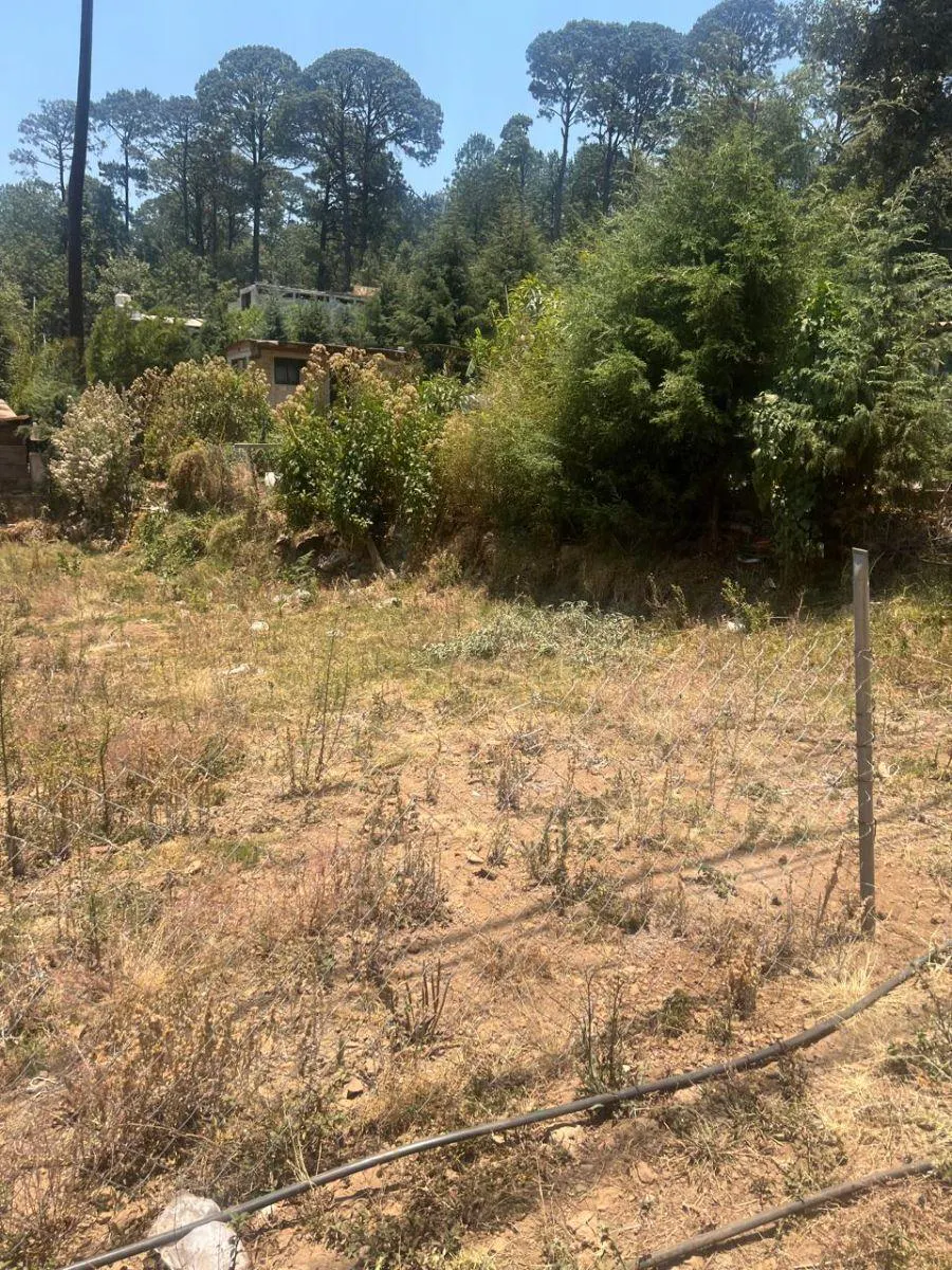 Terreno Spot2