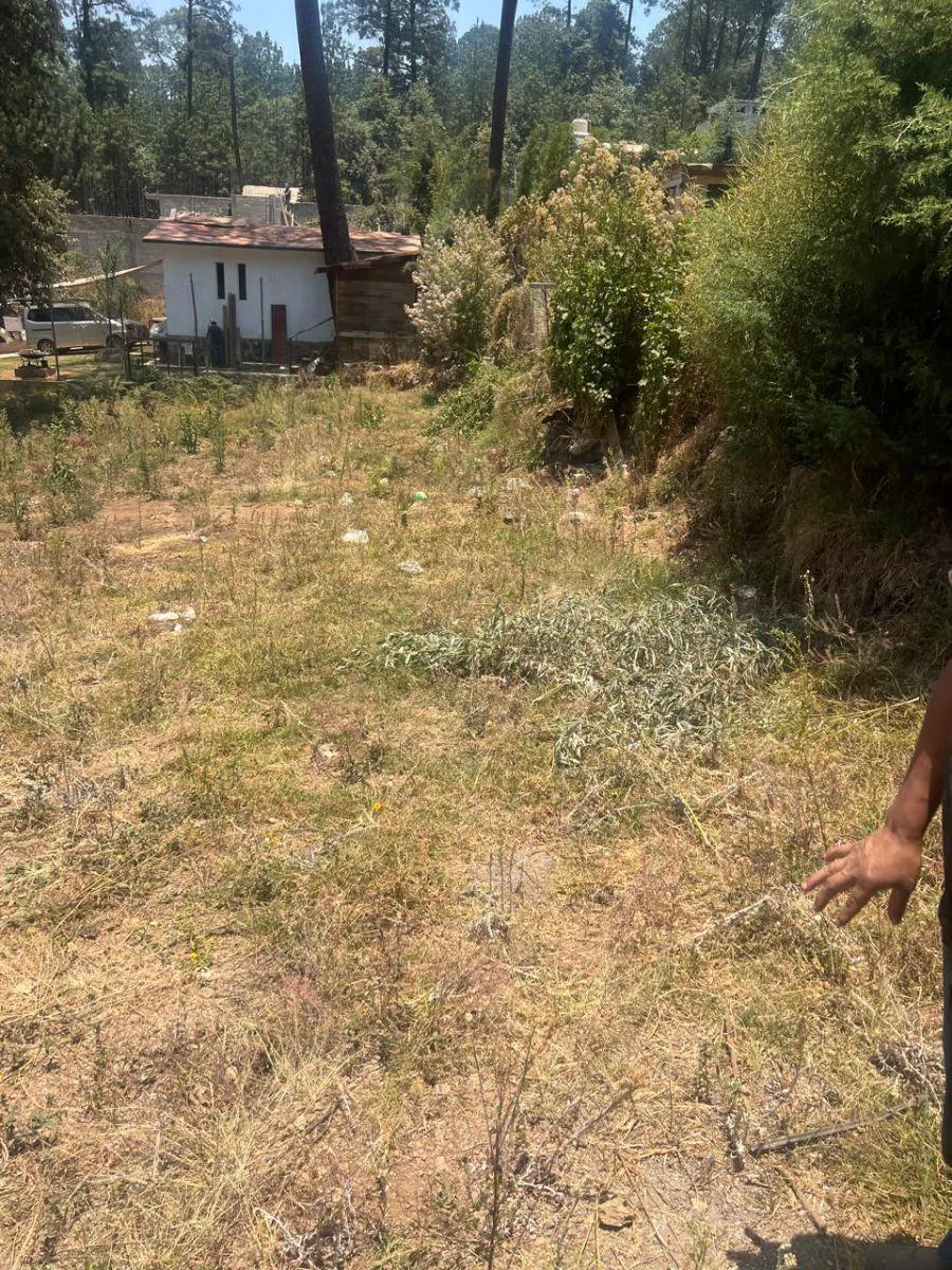 Terreno Spot2