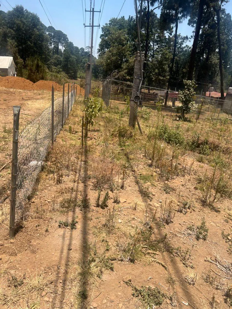 Terreno Spot2