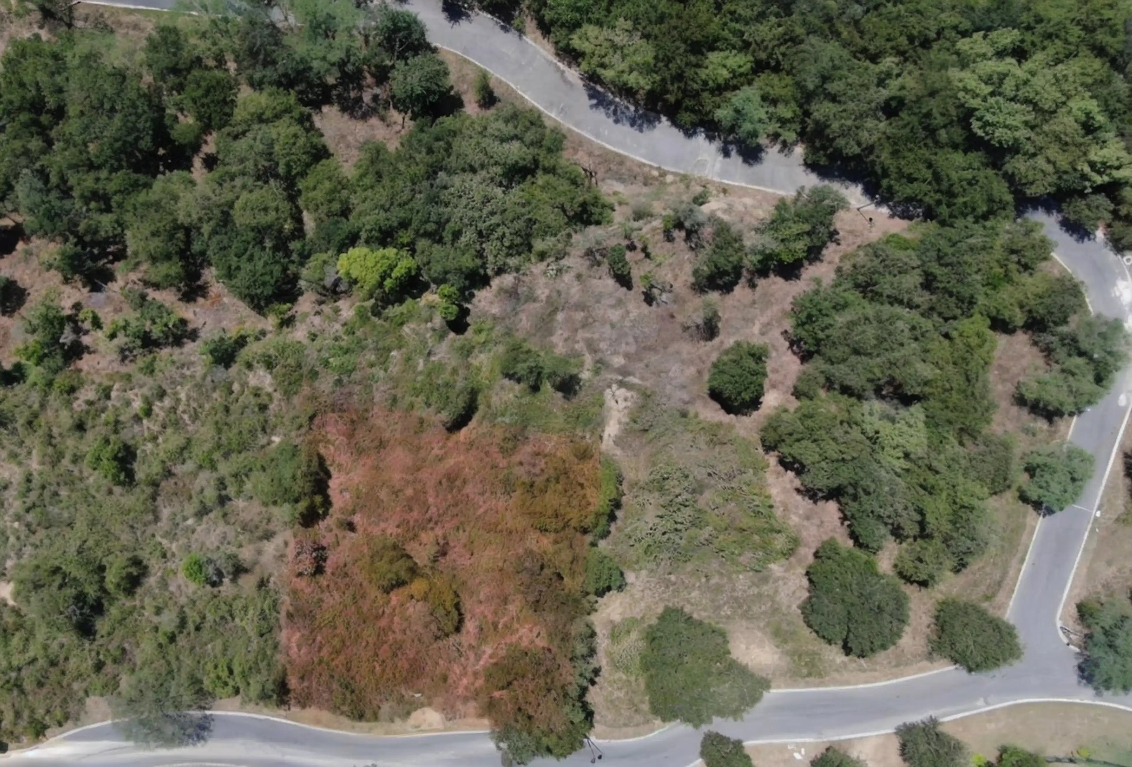 Terreno en Venta en Residencial Campestre Silvestra, Montemorelos, N. L.