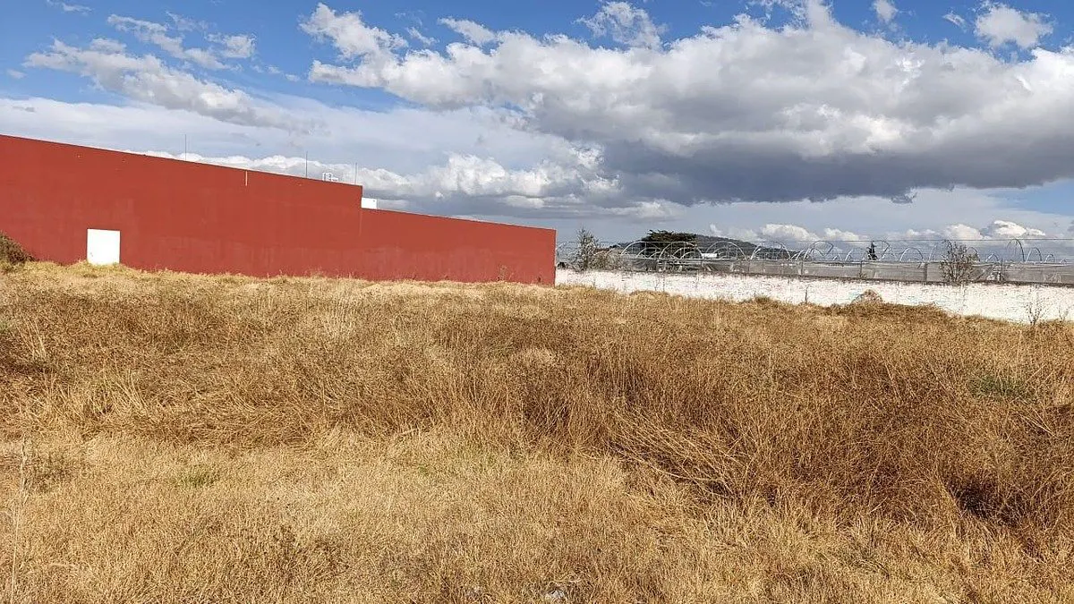 Terreno Spot2