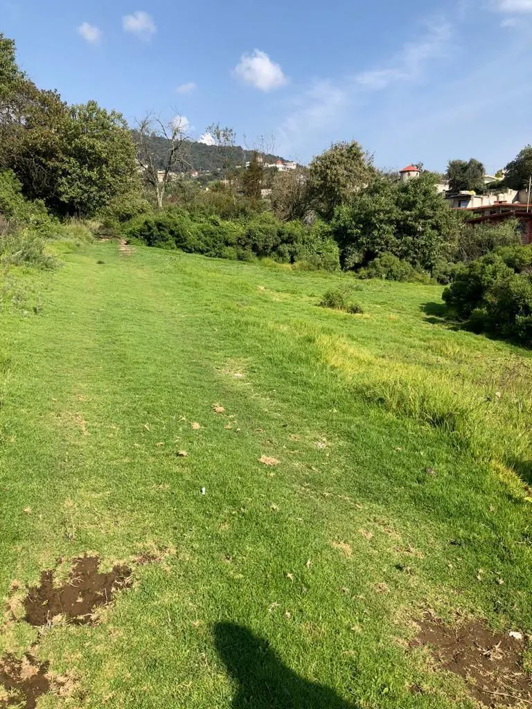 Terreno Spot2