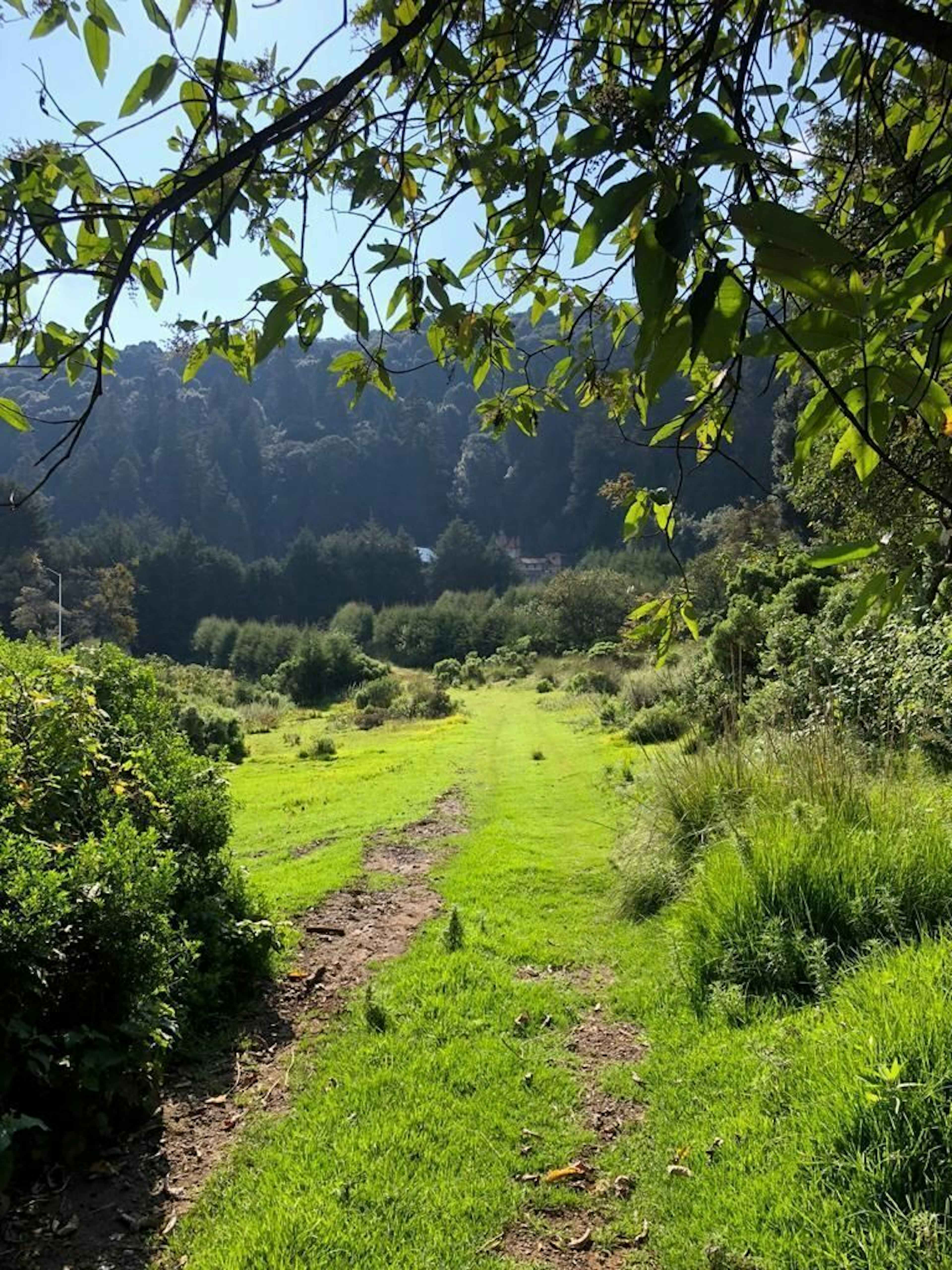 Terreno En Venta En Nicolas Romero