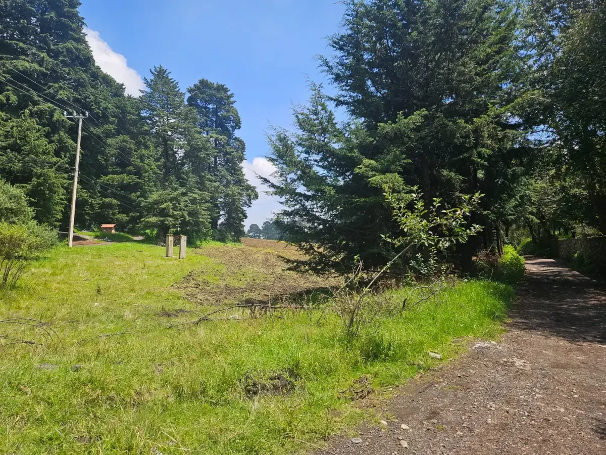 Terreno Spot2