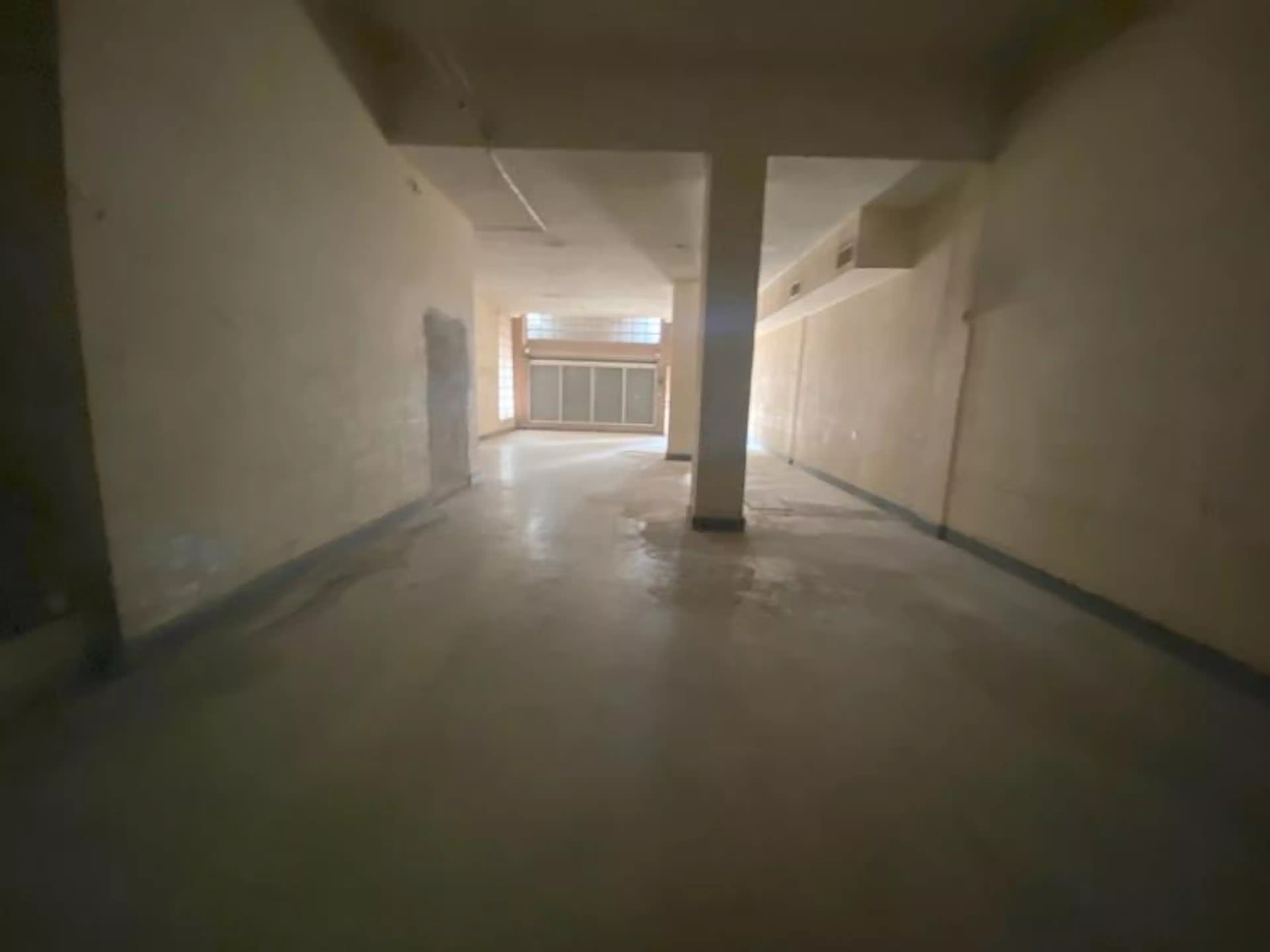 Gonzalez Ortega 270 Su