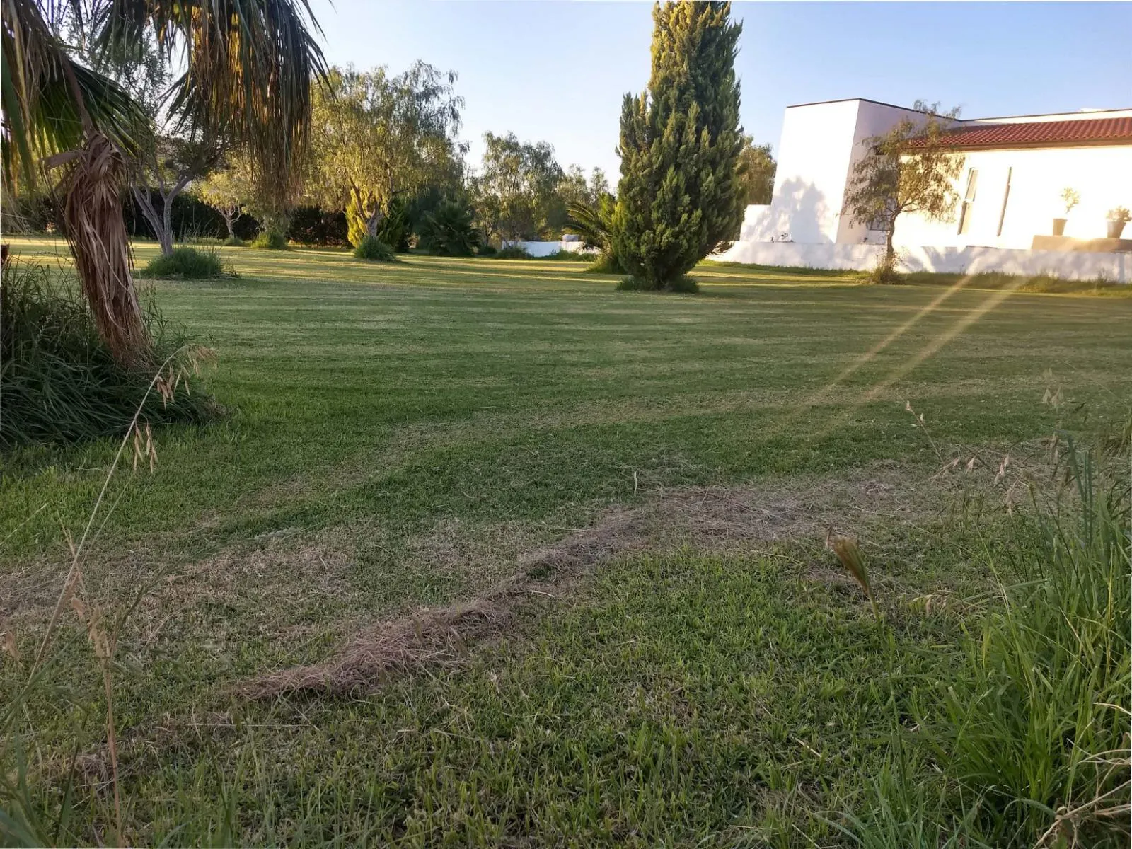 Terreno Spot2