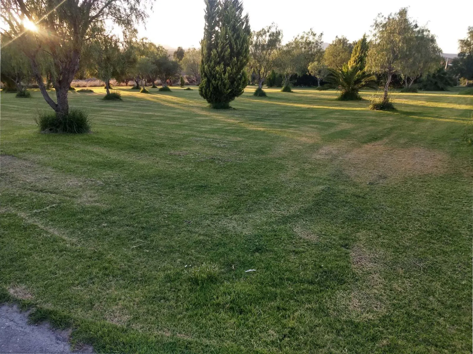 Terreno Spot2
