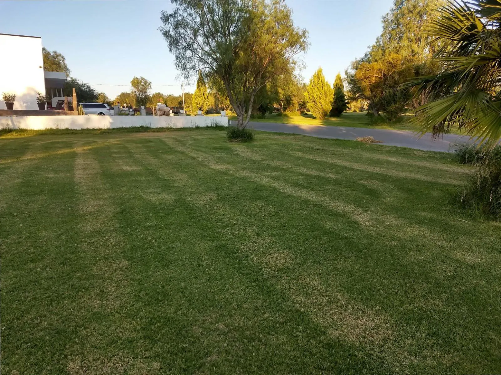Terreno Spot2