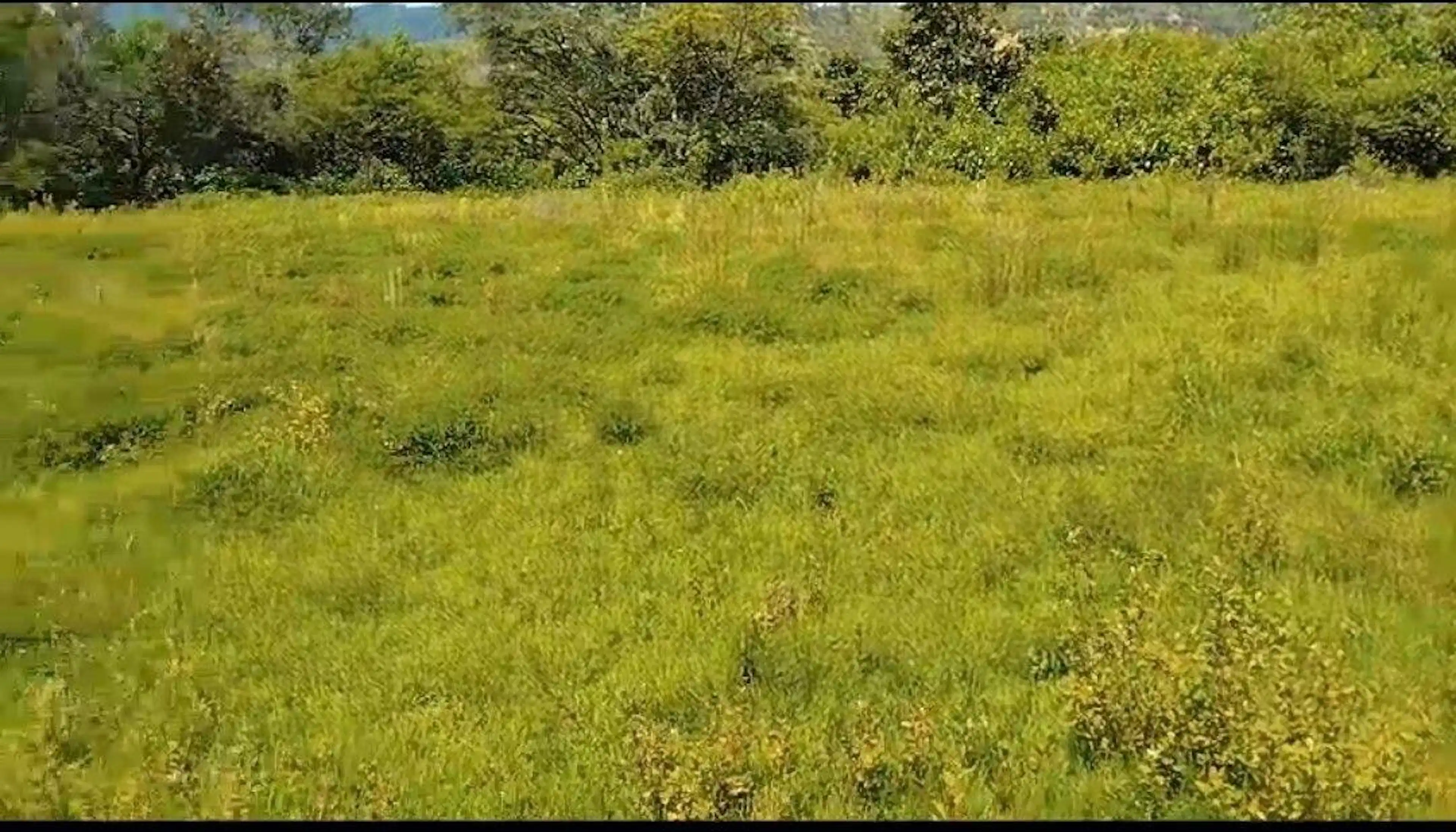 Terreno Plano en Santa Teresa Tilostoc
