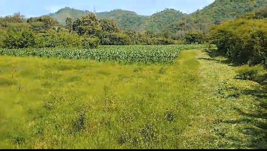 Terreno Spot2