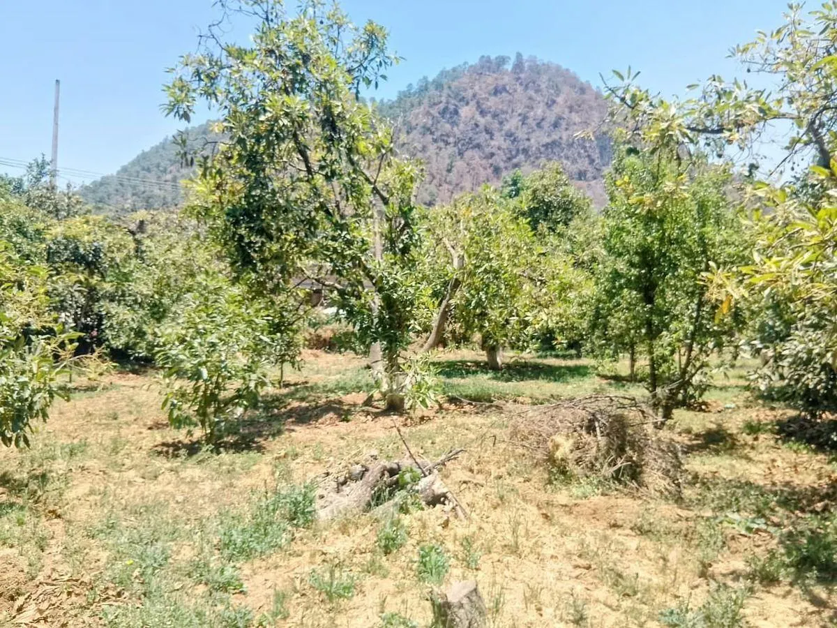 Terreno Spot2