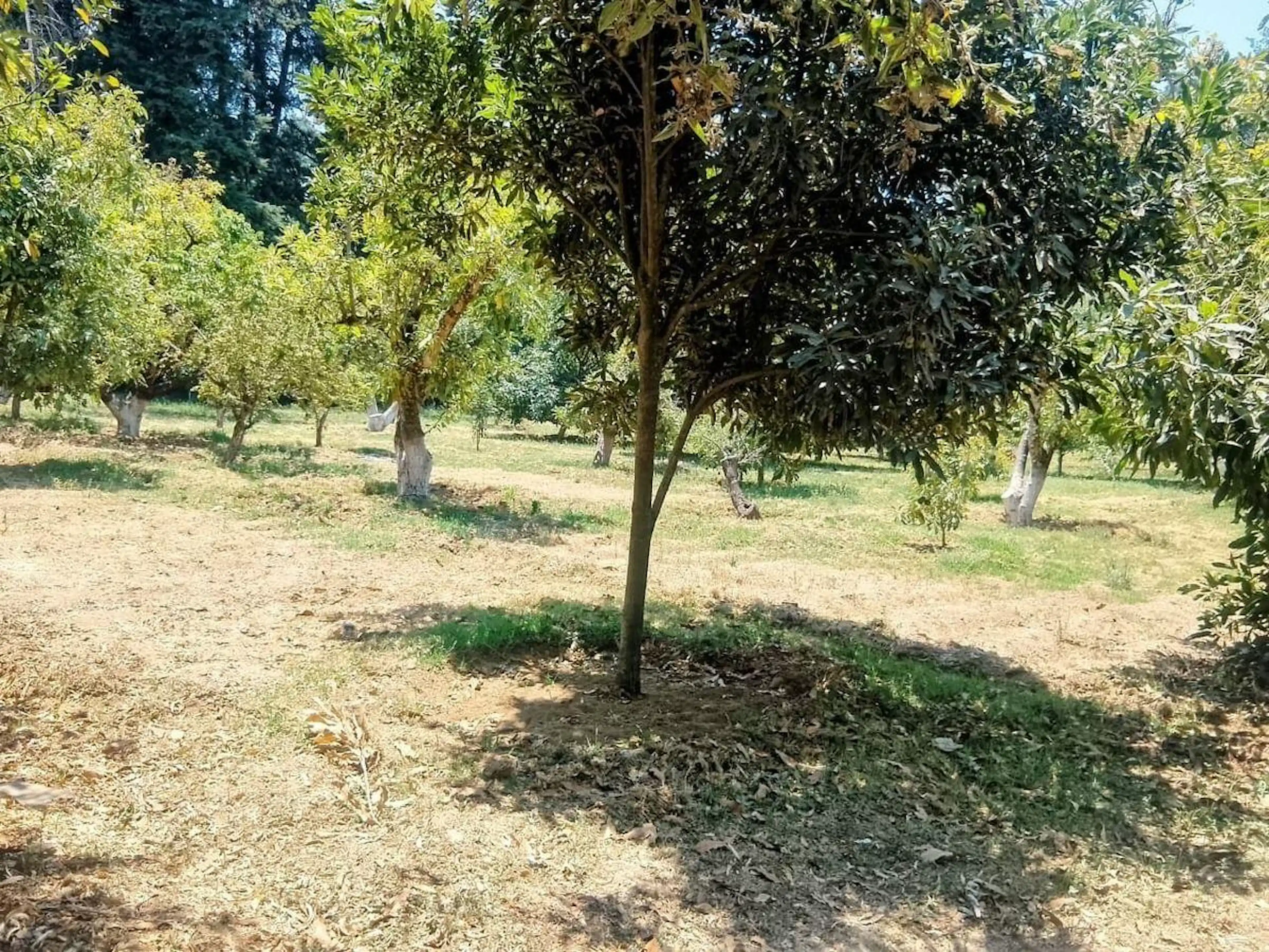 Terreno en venta junto a la autopista en Polvillos – Ideal para negocio o desarr