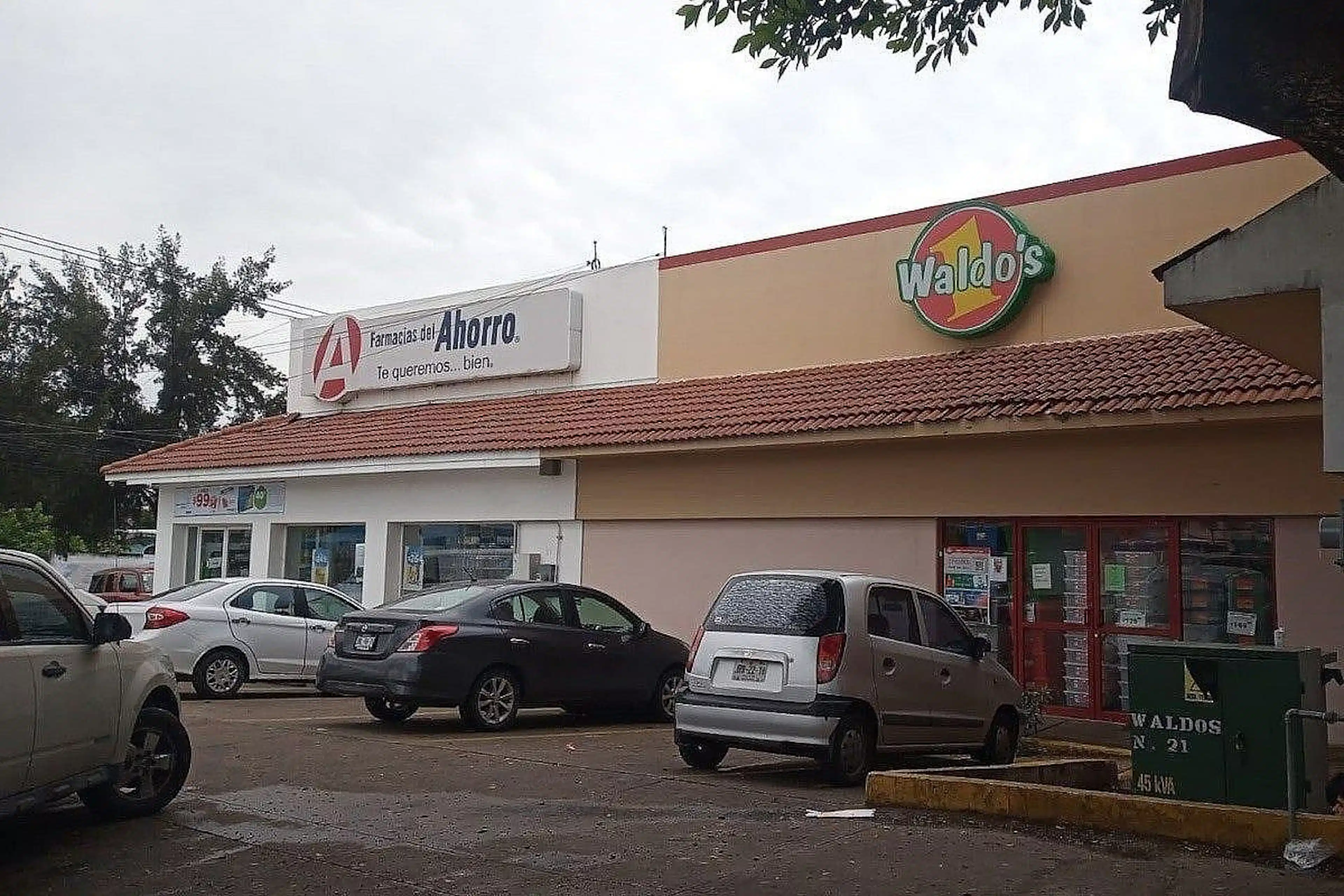 Calle Polimnia
