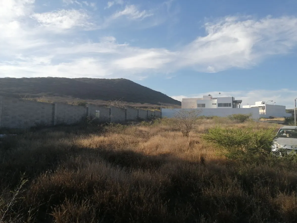 Terreno Spot2