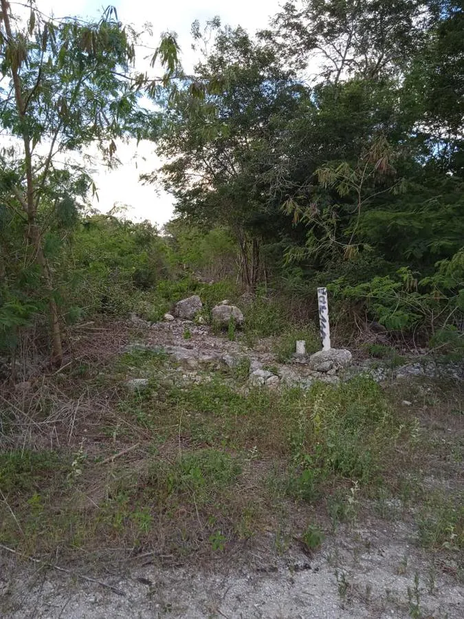 Terreno Spot2