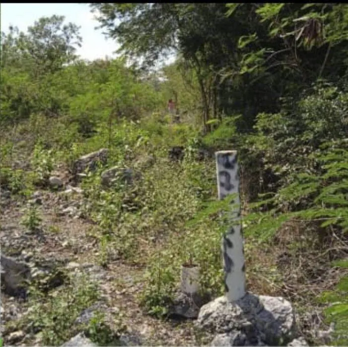 Terreno Spot2