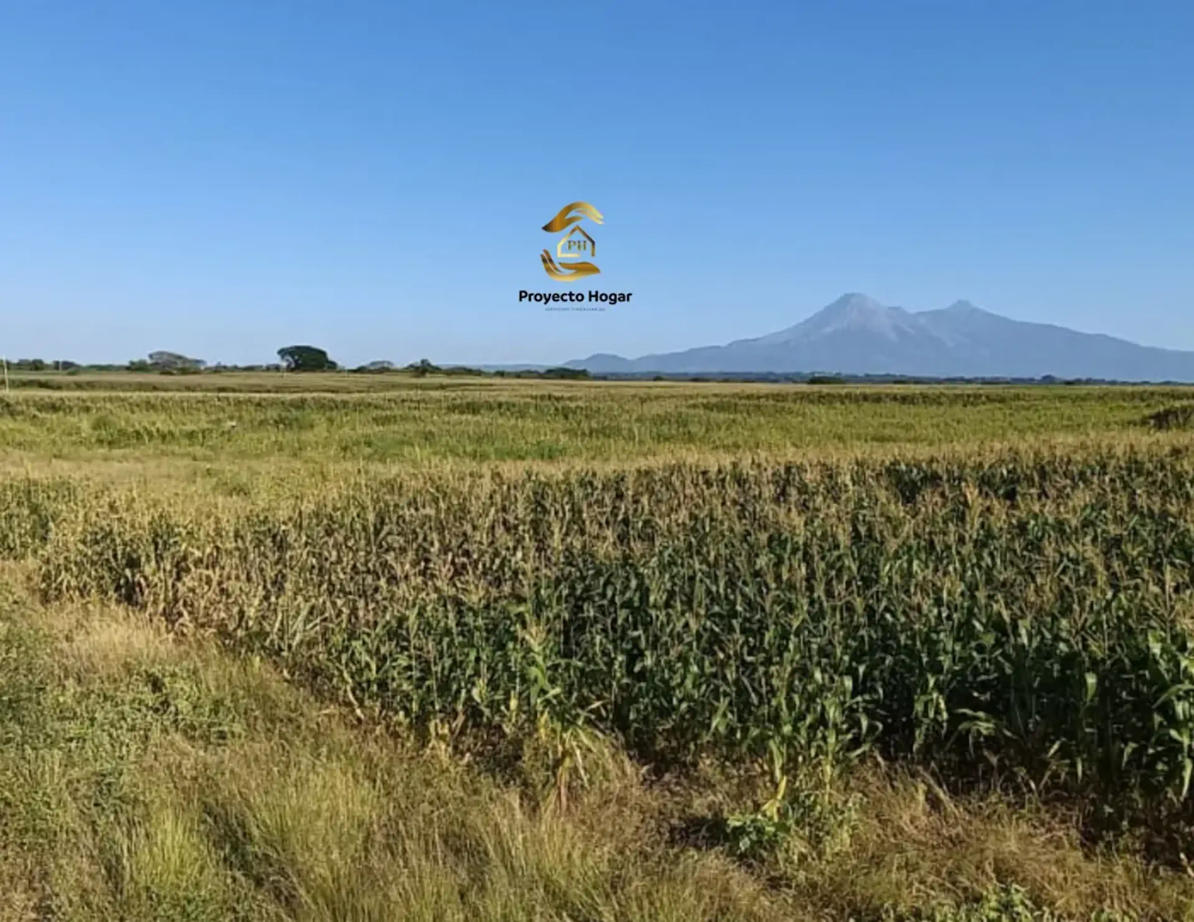 Terreno En Venta En Alzada, Cuauhtémoc, Colima
