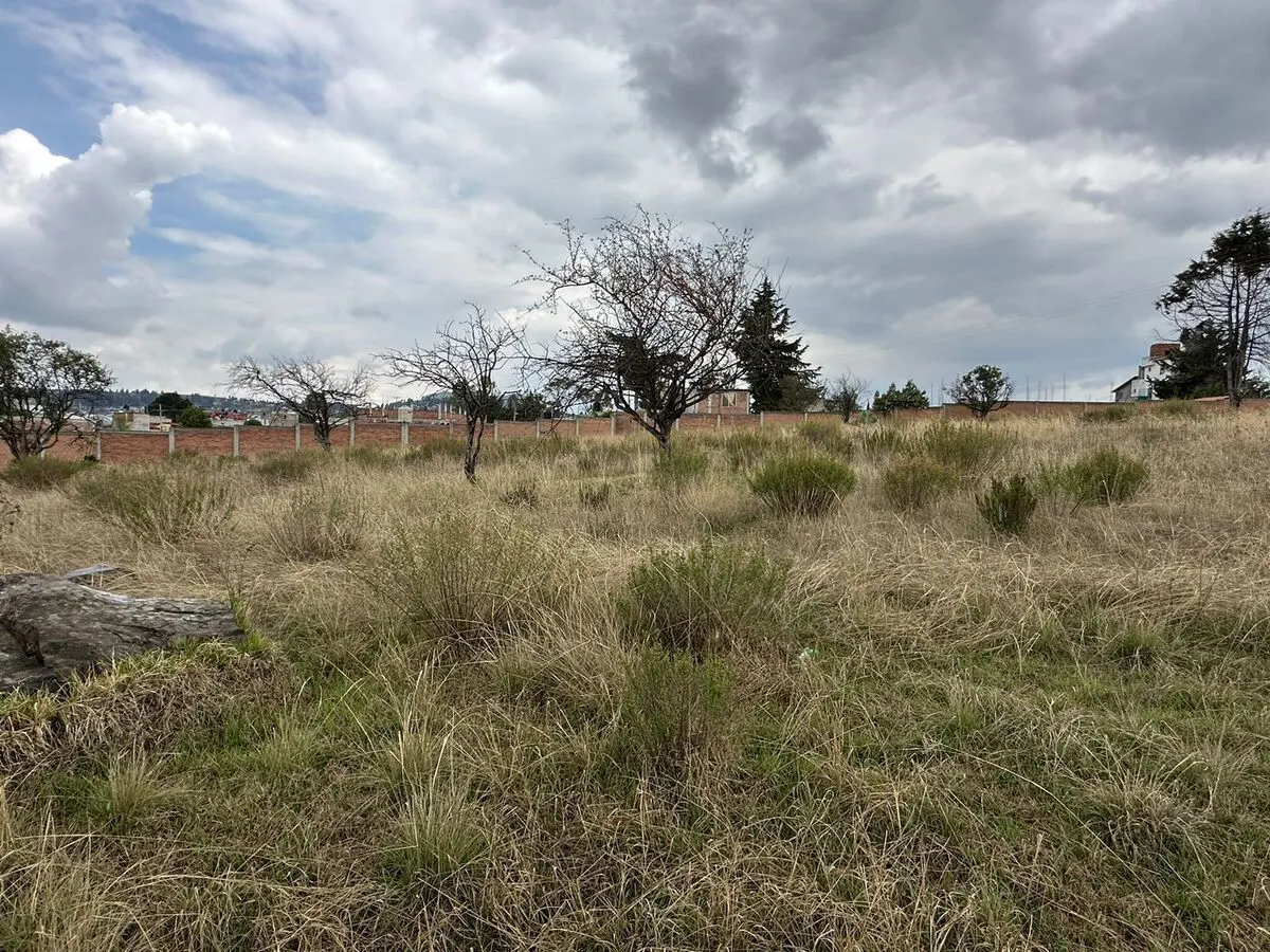 Terreno Spot2