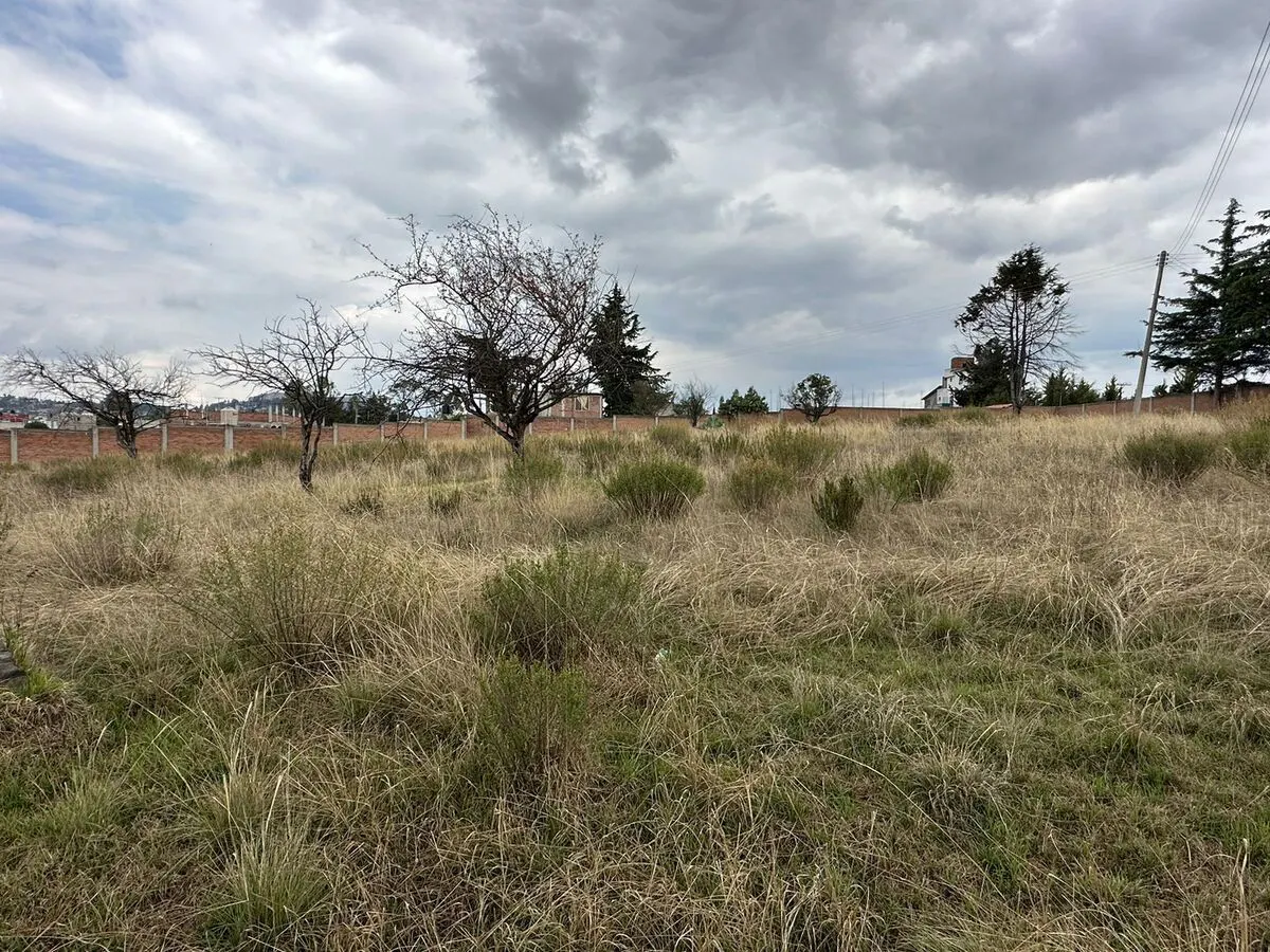 Terreno Spot2