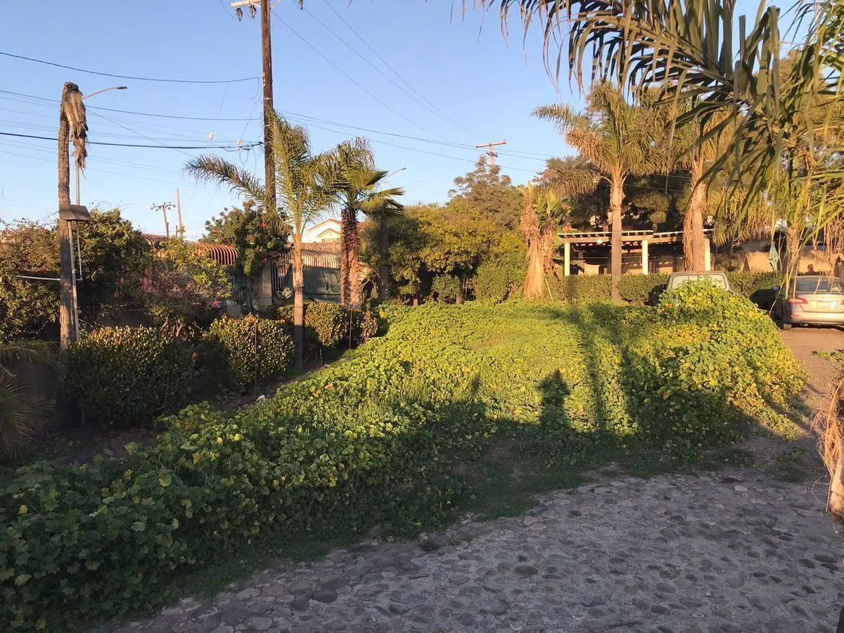 Terreno Spot2