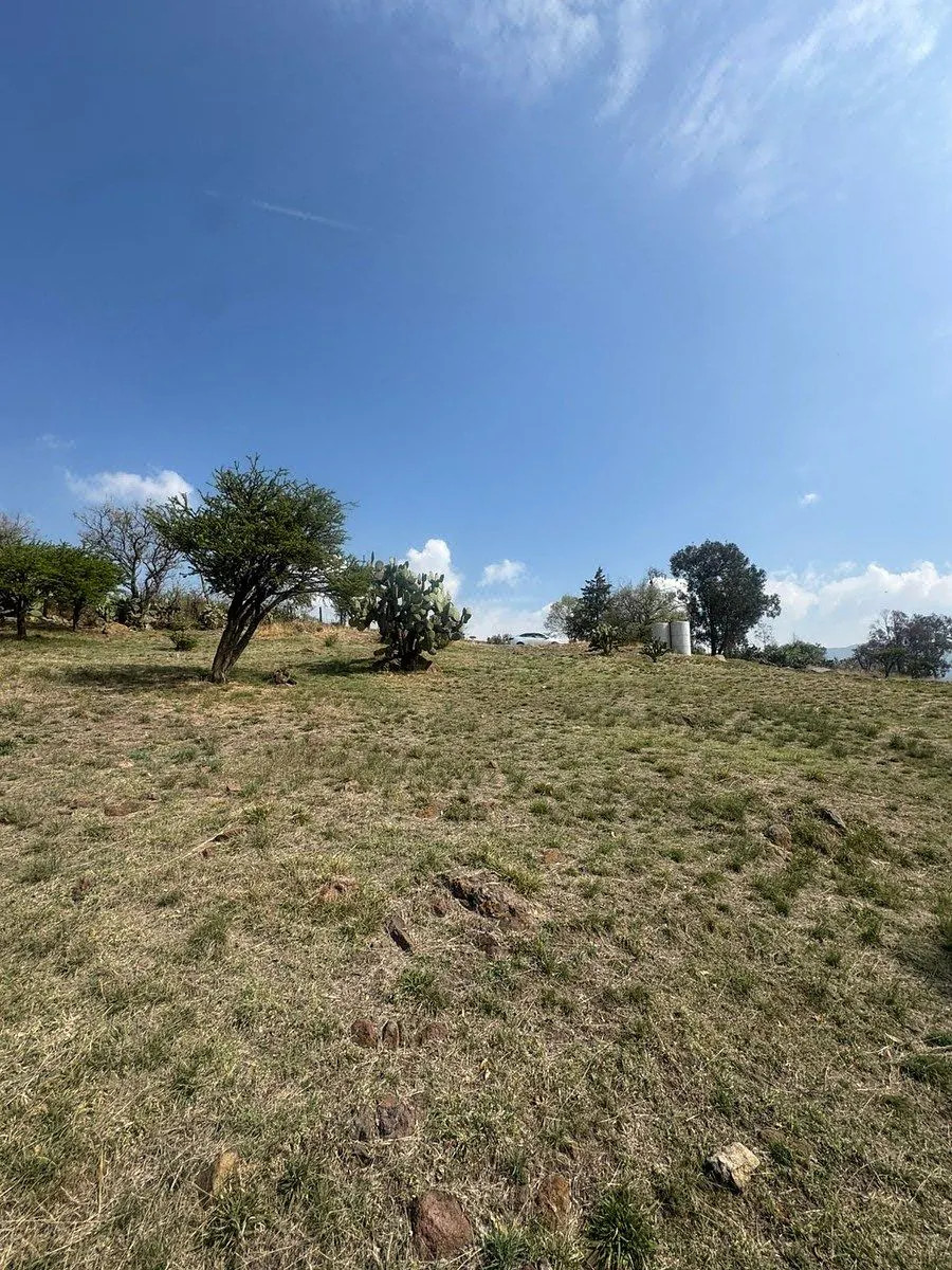 Terreno Spot2