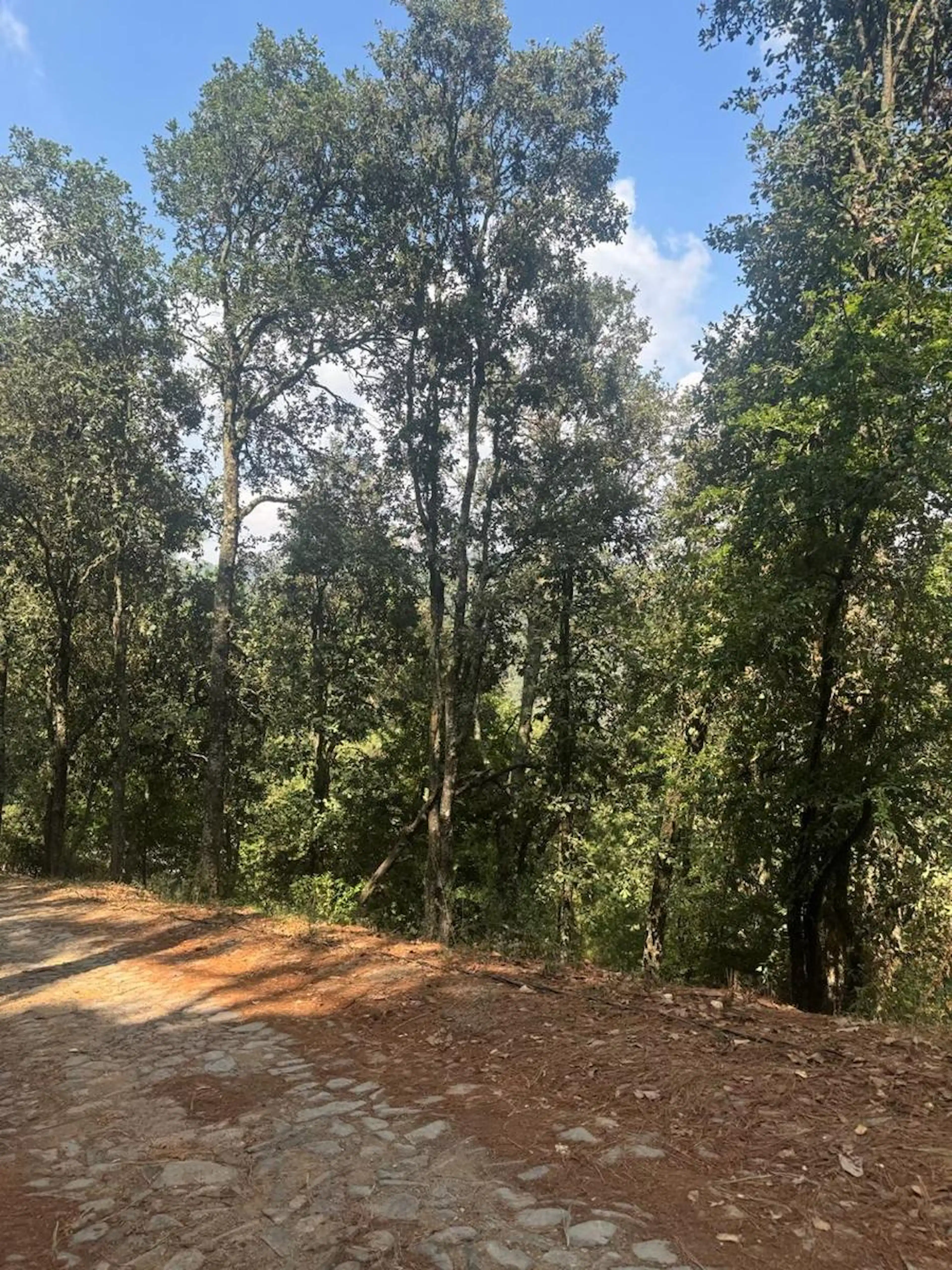 Terreno En  Venta
