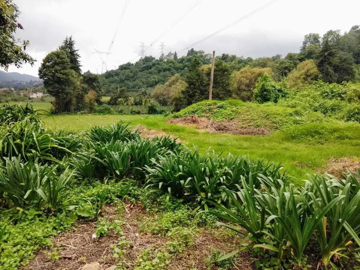 Terreno Spot2