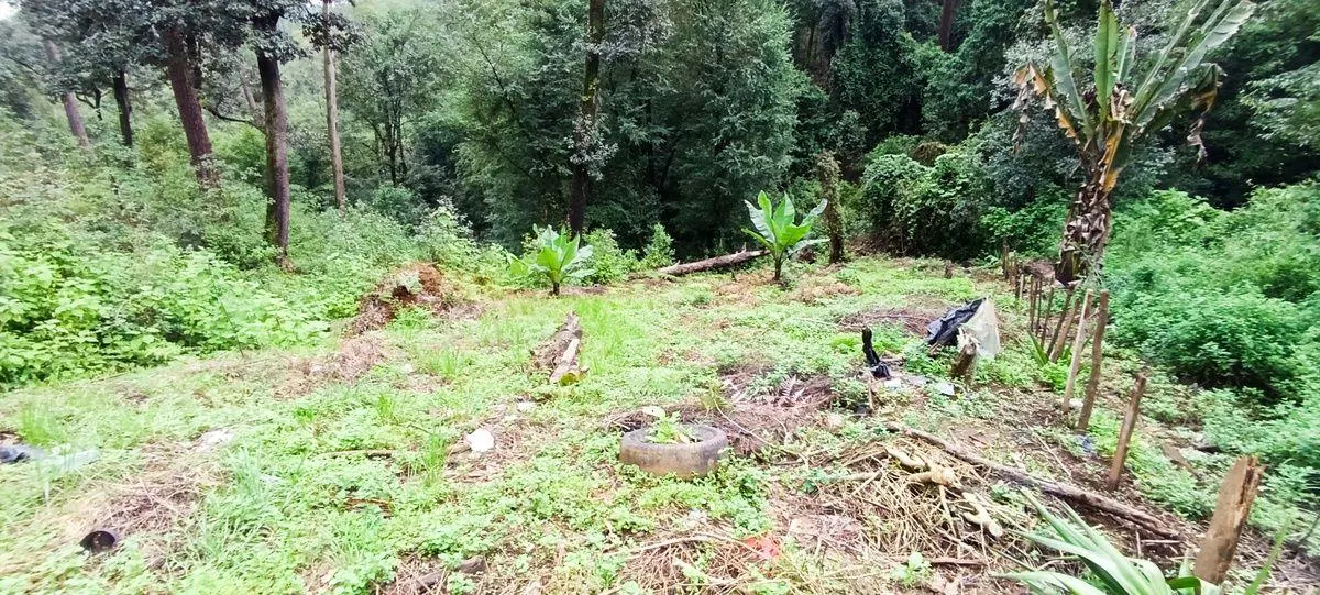 Terreno Spot2