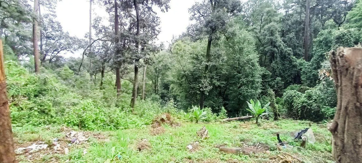 Terreno Spot2