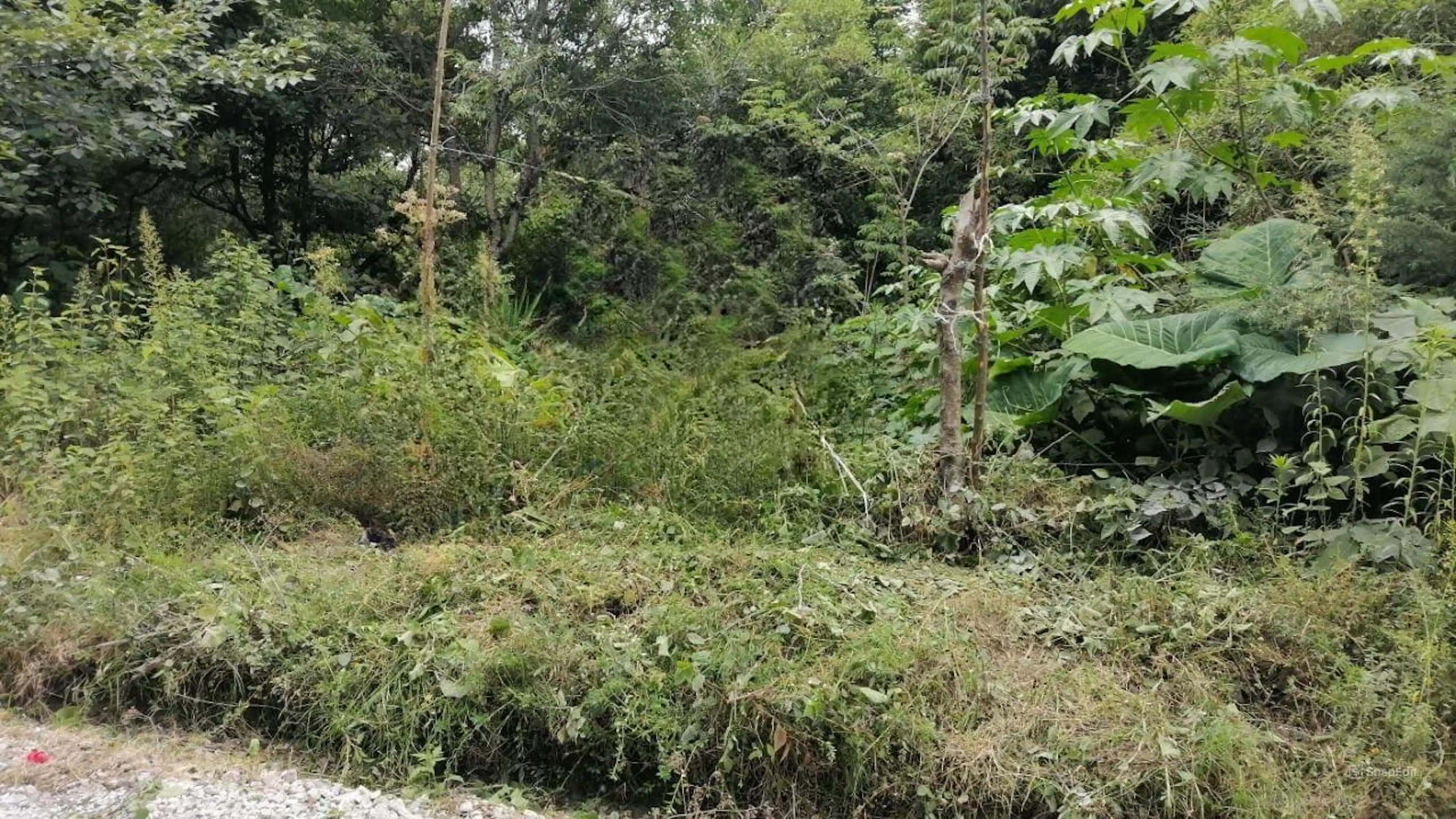 Terreno En Venta En Tlalnelhuayocan